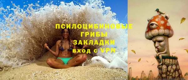 шишки Верхнеуральск