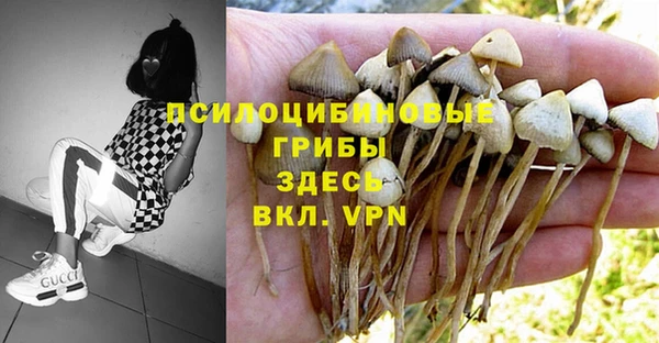 стаф Бугульма